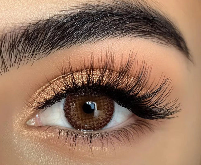 BSW 242 chocolate
