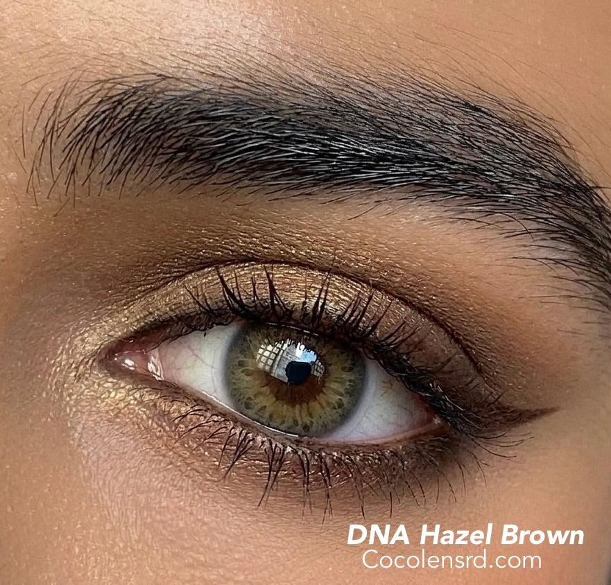 DNA Brown hazel