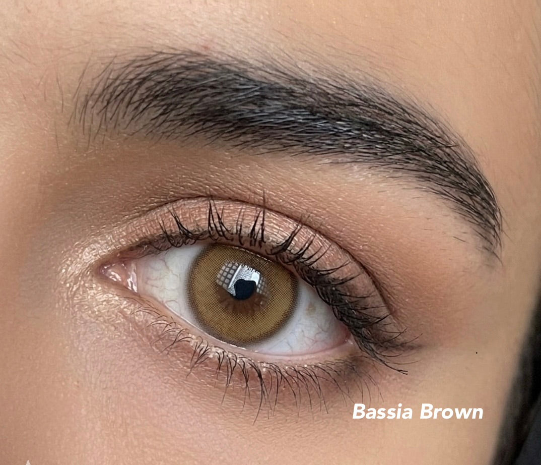 Bassia brown