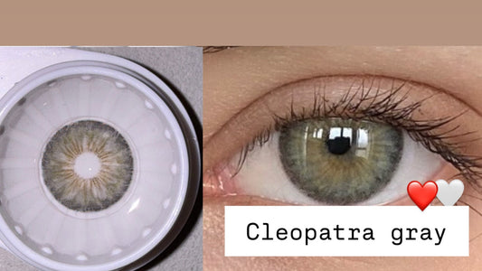 Cleopatra gray