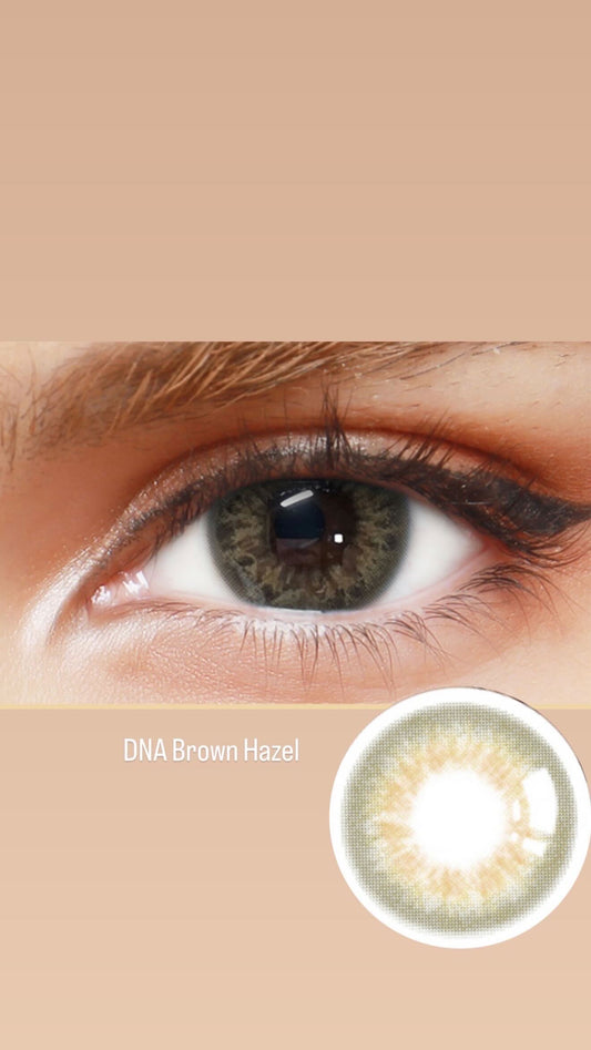 DNA Brown hazel