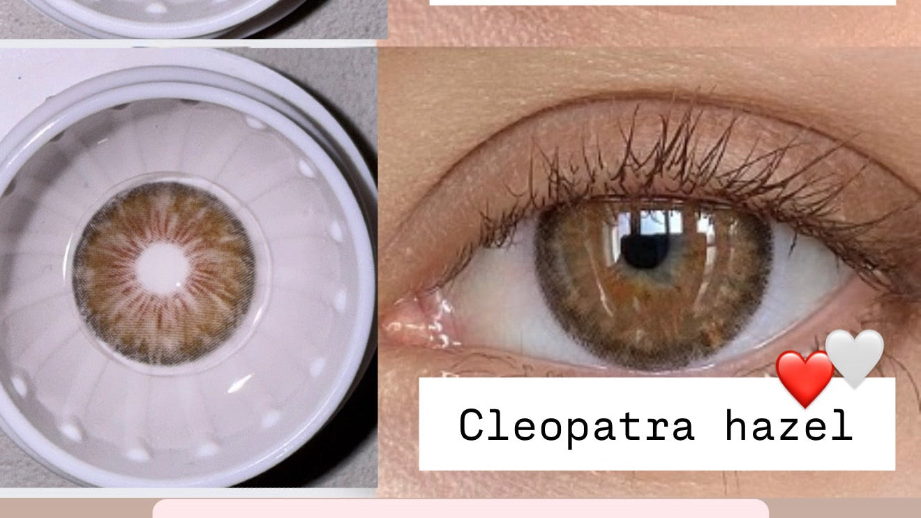 Cleopatra hazel